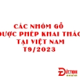 phan-loai-nhom-go-viet-nam-duoc-phep-khai-thac-va-xuat-khau-cap-nhat-t92023