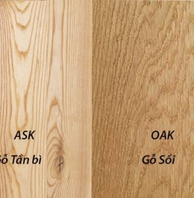 Phân biệt gỗ Sồi và gỗ Tần Bì